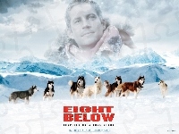 Eight Below, psy, góry, Paul Walker