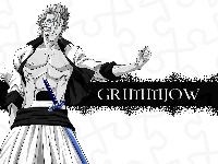 Espada, Grimmjow, Numer 6