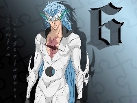 Espada, Grimmjow, Numer 6