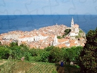 Europa, Miasto