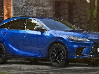 Lexus RX Hybryda F Sport, Bok