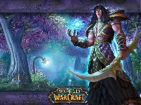 elf, fantasy, World Of Warcraft, mężczyzna, wojownik