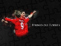 Liverpool, Fernando Torres