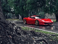 Droga, Ferrari 458 Italia, Czerwone