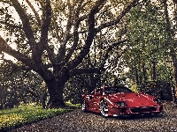 Ferrari F40, Drzewa