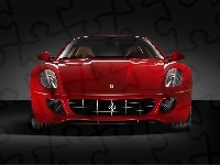 Ferrari 599, Przód, Grill