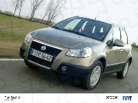 Dealer, Fiat Sedici