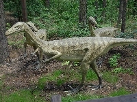 Figurka, Troodon