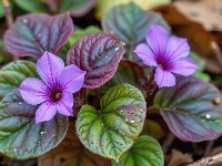 Liście, Fioletowe, Kwiaty, Grafika AI