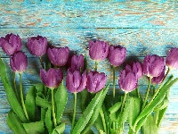Kwiaty, Fioletowe, Tulipany, Deski, Kolorowe