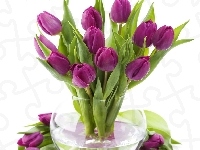 Wazon, Tulipany, Fioletowe