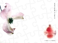 flakon, Issey Miyake, kwiat, perfumy