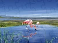 Flamingi, Jezioro, Dwa, Grafika 2D