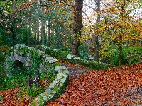 Tollymore Forest Park, Irlandia, Jesień, Most, Foleys Bridge, Drzewo, Kamień, Las
