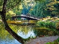 Fontanna, Staw, Drzewa, Park, Most, Kaczki