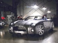 Ford Shelby Cobra Concept