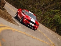 Ford Mustang, Czerwony, Shelby, GT 500