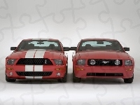 Ford Mustang i GT500