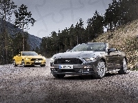 Ford, Samochody, Mustang converbile