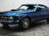 Ford Mustang, Niebieski, Wystawa