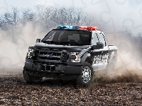 Ford F-150 Special Service Vehicle, Samochód, Policyjny, 2016