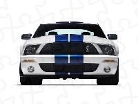 Shelby, Ford Mustang