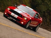 Shelby, Ford Mustang