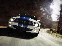 Shelby, Ford Mustang