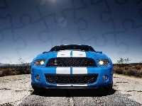 Shelby, Ford Mustang