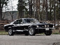 Ford Mustang Shelby GT350, Zabytkowy, 1967