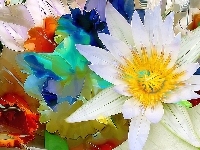 Fractalius, Kwiaty