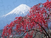 Fuji, Japonia