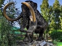 Futro, Kły, Mamut