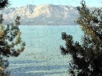 Gałązki, Kalifornia, Jezioro, Góry, Tahoe