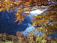 Gałęzie, Szwajcaria, Jezioro, Góry, Glarus