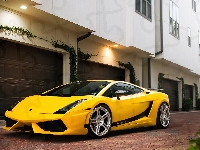 Gallardo, Lamborghini, Żółte