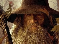 Gandalf, Ian McKellen, Liście