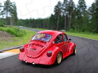 Czerwony, Garbus, Volkswagen, Las, Droga