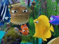 Finding Nemo, Gdzie jest Nemo, Akwarium