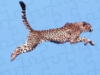 Gepard