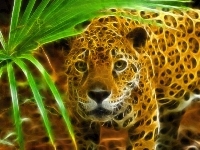 Gepard, Grafika