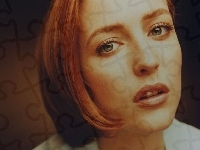 Gillian Anderson