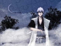 Gin Ichimaru, Bleach, Noc