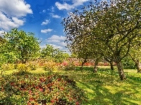 Lato, Girvan, Kwiaty, Szkocja, Ogród Bargany Gardens, Drzewa