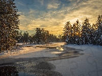 Glaskogen, Zima, Arvika, Szwecja, Rezerwat, Rzeka, Las, Przyrody, Śnieg, Drzewa