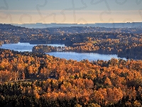 Gmina Arvika, Szwecja, Gunnarskog, Lasy, Drzewa, Lake Gunnern, Jesień, Jezioro