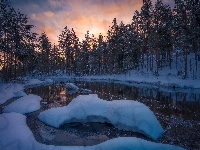 Zima, Gmina Ringerike, Jezioro, Norwegia, Drzewa, Śnieg