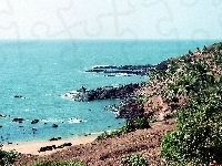 Goa, Morze, Roślinność, Indie