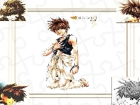 goku, Saiyuki, son, facet