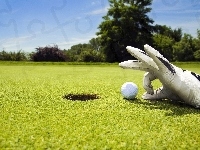 Ręka, Golf, Rękawiczka